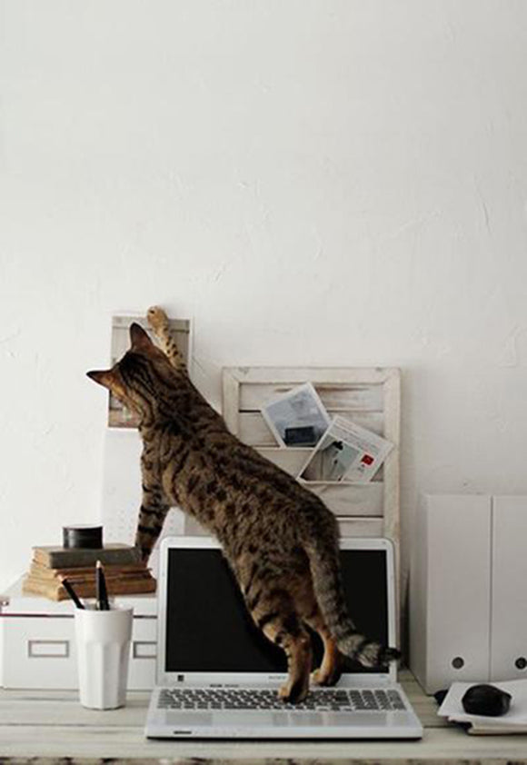 Leave work behind, it's time to celebrate!💥