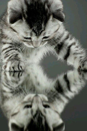 A time of reflection... and PAW’sitive vibes✨🐾💫