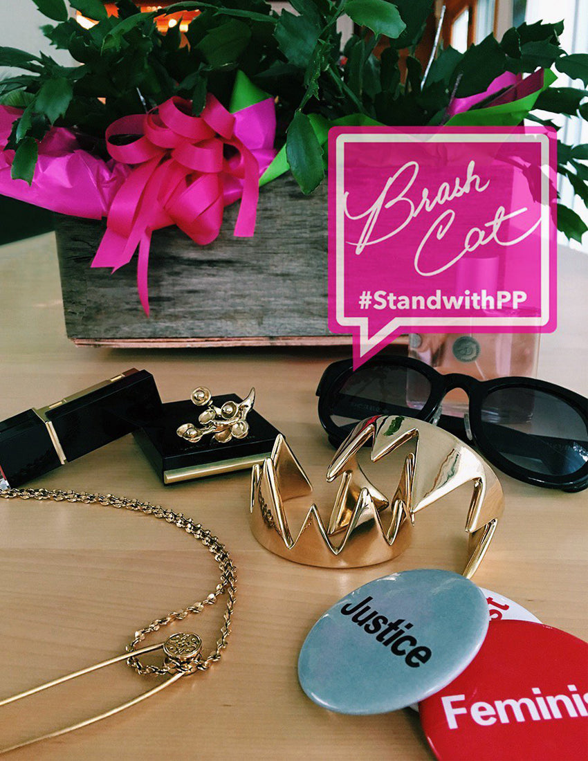 Brash Cat Fights Back!